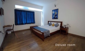 Delux Bedroom in Serviced Apartment 535
